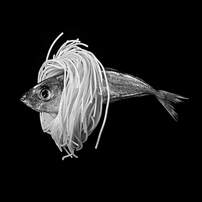 picture of a dead fish surrounded by Chinese noodles shot in studio Halet with a Mamiya medium format digital back Phase One
