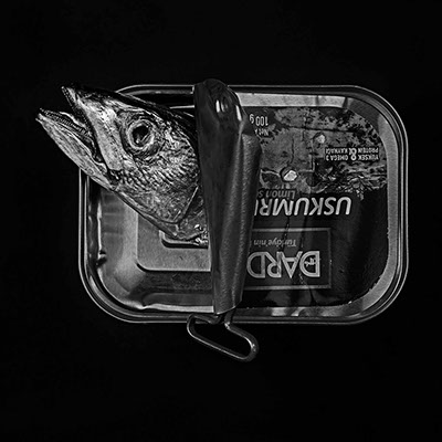 picture of a dead fish in a can shot in studio Halet with a Mamiya medium format digital back Phase One
